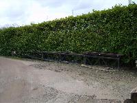 4ce653b7a9b37_nobas ub 1214 027 (small).jpg